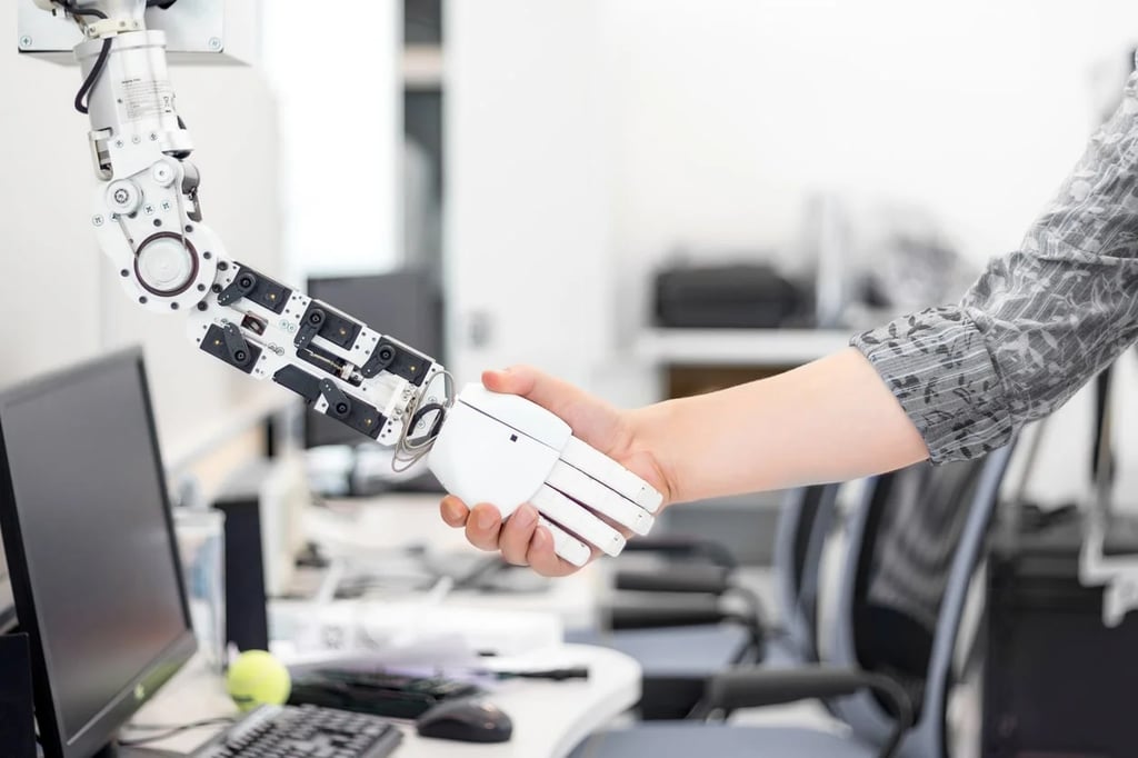 What is an Intelligent Virtual Agent ?